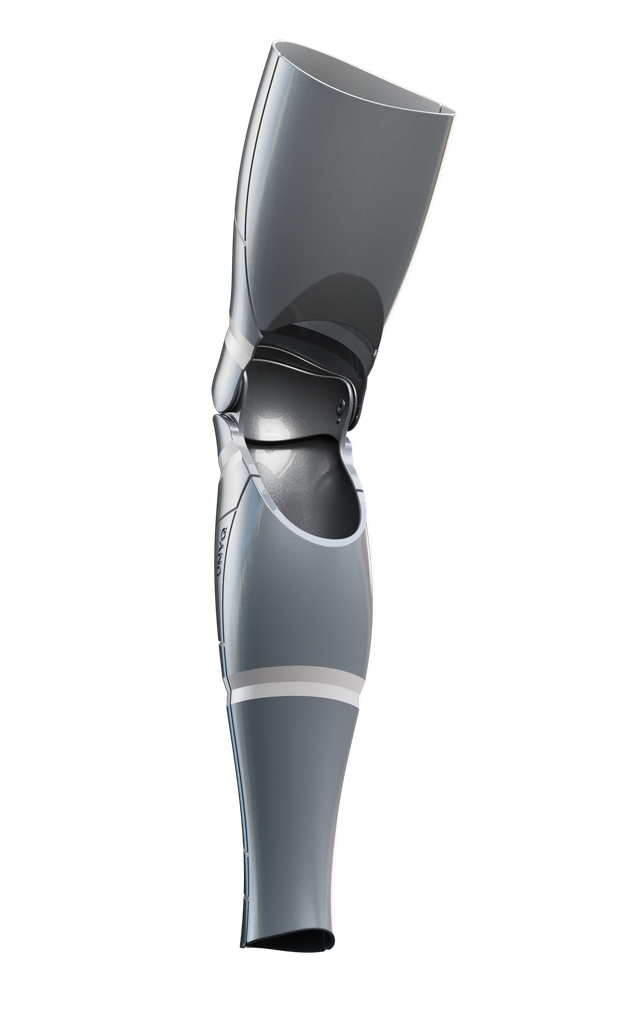 Titanium / Silver