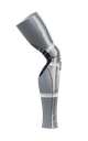 Titanium / Silver