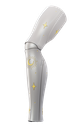 Perseus (OneFit) - Silver/Gold
