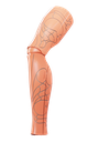 Aura (OneFit) - Peach/Titanium