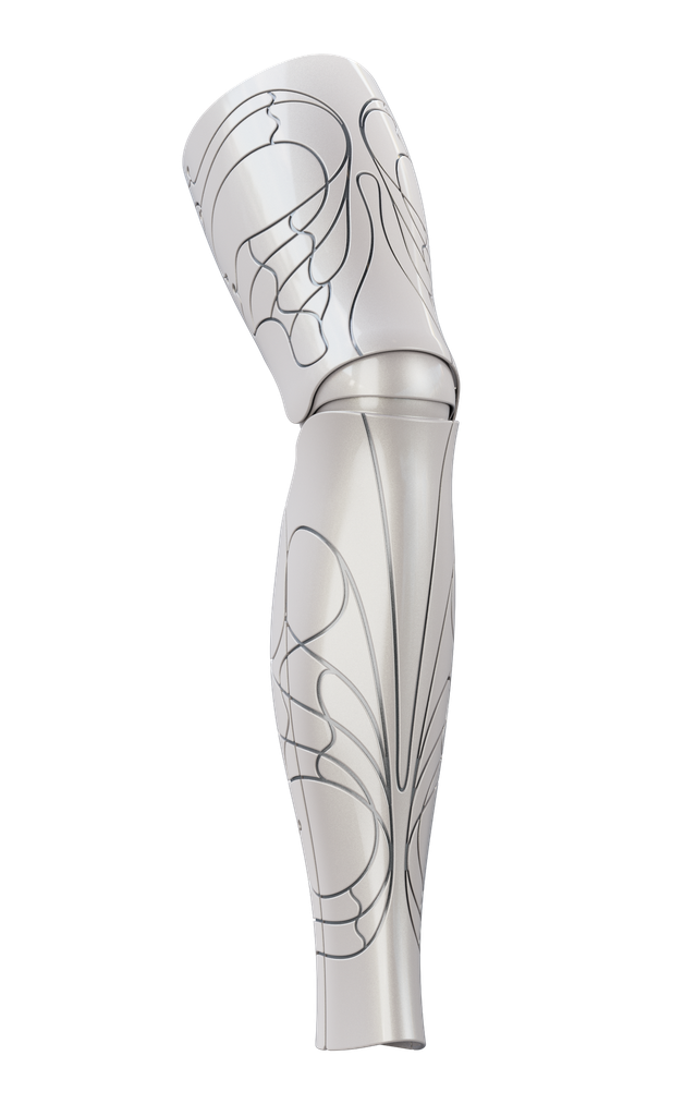 Aura Flex (OneFit) -Silver/Titanium