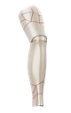 Crystal Flex (OneFit) - Champagne/Corinto