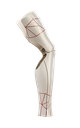Crystal Flex (OneFit) - Champagne/Corinto